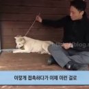 철용농장 네이버블로그