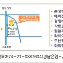 창일카마스타 이미지