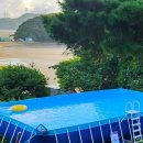 펜션파인씨 | [서산독채펜션] 여름 수영장 오픈 펜션파인씨