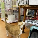 대동 사랑방문고 이미지