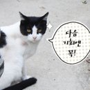 몽꾸꾸 | 공모전 당첨자 발표~