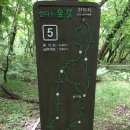 제주도와 한라산 속살 엿보기(5 完) 이미지