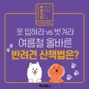 산책같은수다 이미지