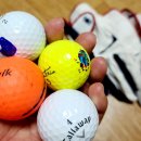 홍이 골프 이미지