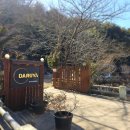 약식동원 다루야 이미지