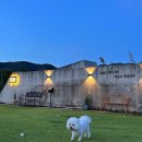 멍펜션5 이미지