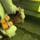 부름코인노래연습장 이미지