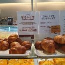 마고플레인 이미지