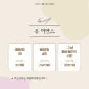 아르드뽀 이미지