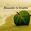 호흡(Remember to breathe) 이미지