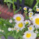 1공단로-8 이미지