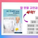 미케어셀 이미지