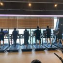 피트니스 REX 이미지