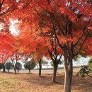 성산공원 이미지