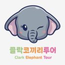 코끼리카서비스 이미지