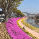 양지천 | [공지] 봄꽃 가득한 순창 가족 여행의 단체독채펜션 해맑은천상 솔직 후기