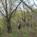 대부농장 이미지