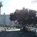 업동경로당 이미지