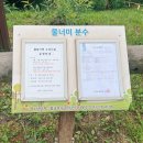 신비한먹거리 이미지