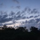 별빛두방울 이미지