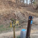 모산봉등산로 이미지