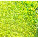 유지방의원 이미지