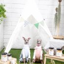 네발라이프 이미지