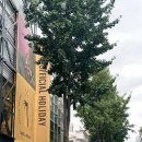 압구정로12길(가로수길) 이미지