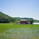 라벤더 까페 이미지