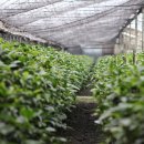 토러스농장 | 폼 스프레이 노즐 D.I.Y 번개 후기