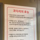 윤남희 맛집코다리 이미지