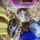 매산리 538 이미지