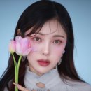 달리아가든 이미지