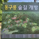 11650-17-135-8 | 동구릉 숲길 트레킹(왕릉 숲길 개방, 가는 방법, 주차, 코스, 소요시간, 카페, 맛집)
