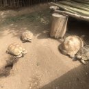 오티농장 이미지