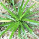 곡정초등학교 이미지