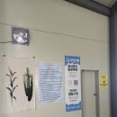 포독포독 | 반려견과 함께 프라이빗하게 즐기는 공간, 남양주 애견운동장 필드포독 애견카페 대관 후기 🐾