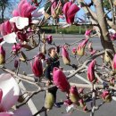 타임9000 이미지