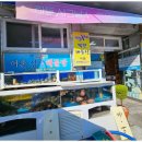 싱싱해물탕 이미지