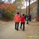 구지초등 Daum카페