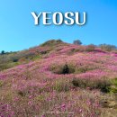 여수산단2로 | 여수 영취산 등산코스 | 진달래 제대로 보려면 어디로? (흥국사 vs 돌고개주차장)