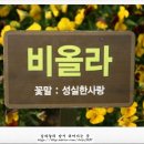 비올라의원 이미지