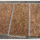 혹독하게 추워도 유기농 대추방울토마토 씨앗은 올라와요 이미지