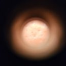 오샤레라이프 | 오샤레라이프_라플랑 PDRN 바이오리들100 체험단