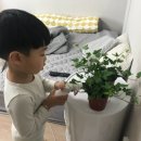 아이비랜드어린이집 이미지