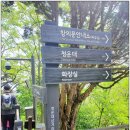 해솔초 앞 삼거리 북측 | 북악산&amp;인왕산&amp;안산(삼청공원~숙정문~곡장~북악산~창의문~기차바위~인왕산~범바위~무학재 하늘다리~안산...