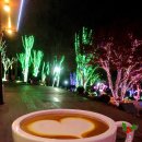 별빛새길갤러리&카페 이미지