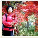 무릉1공원 이미지