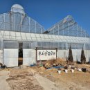 (주)힐링팜 | 수원 아이랑 갈만한곳-포시즌 힐링팜 가성비좋고 프로그램도 알차요