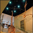 고성종합운동장 가는길 이미지